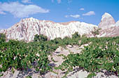 Cappadocia, the Rose valley